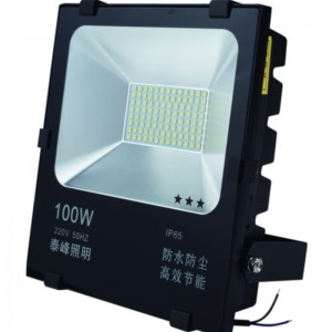 Dịch vụ lâu dài 100w 5054 LED LED FLOODLIGHT từ Linyi Jiingyuan